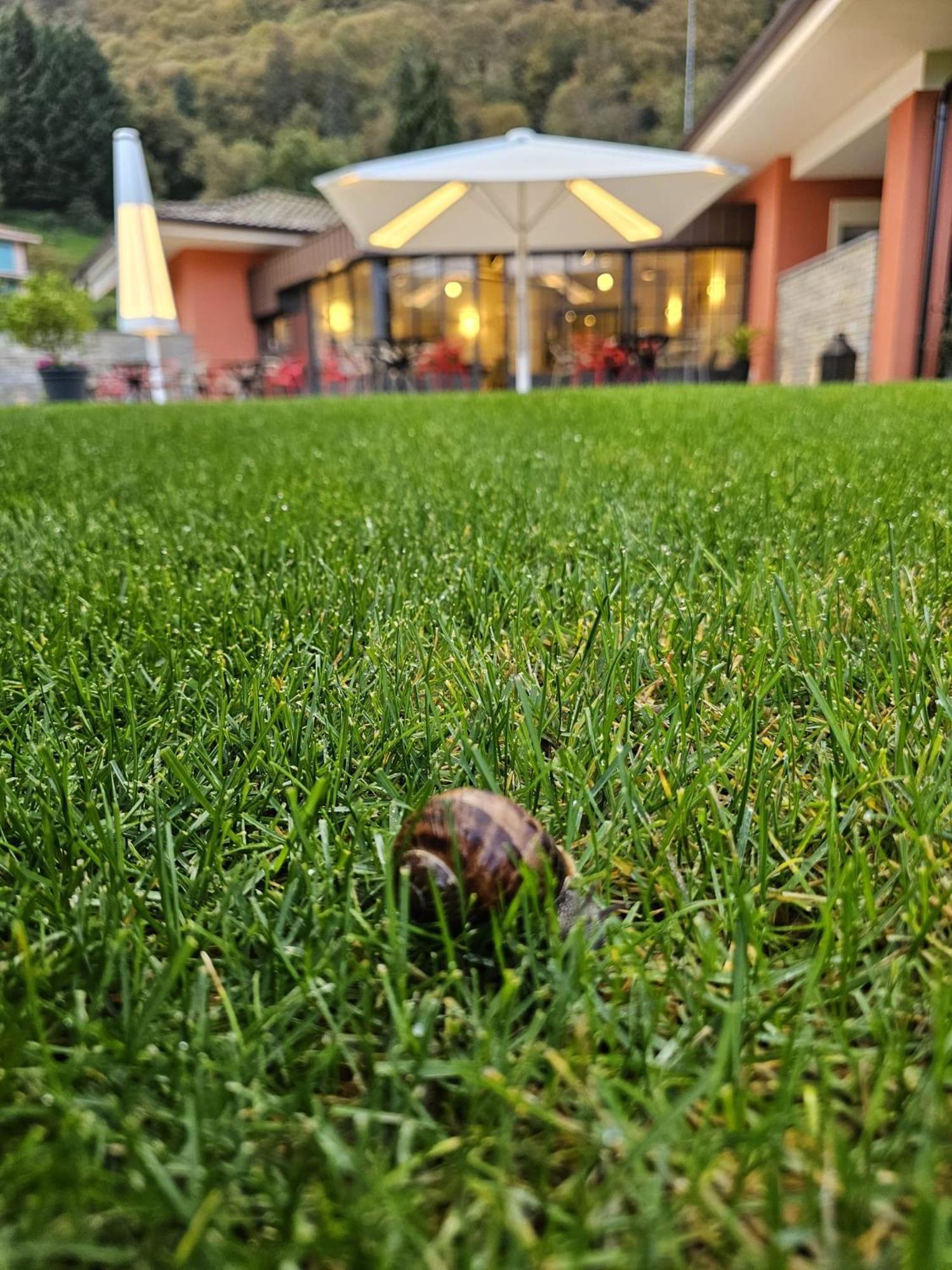 Hotel Villa Cuserina Каннобио Экстерьер фото